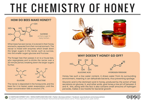 Why doesn't honey go bad?